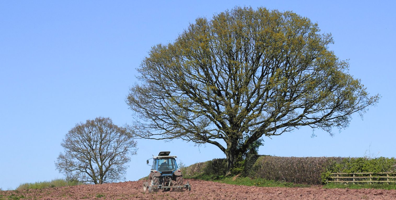 Ploughing at Corbrook